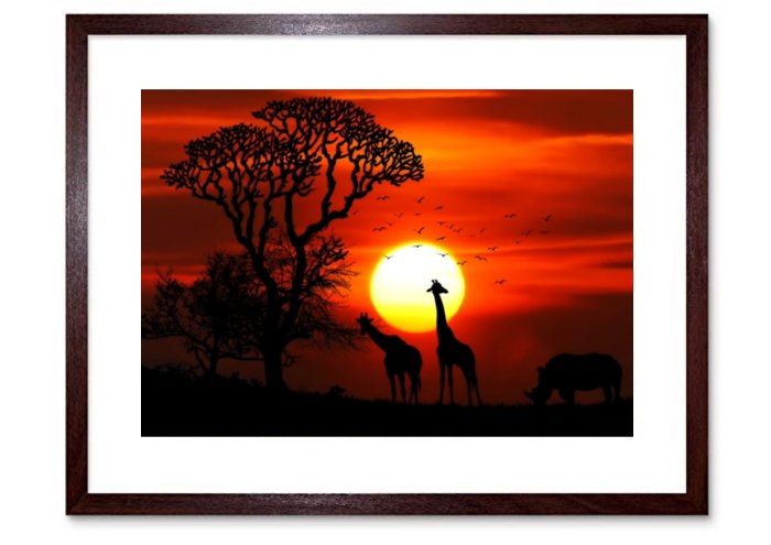 Amazing Landscapes